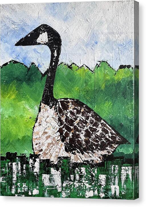 Duck in Marsh - Canvas Print
