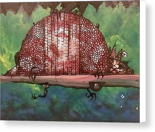 Lazy Armadillo - Canvas Print