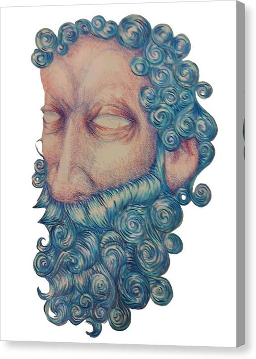 Curly Blue  - Canvas Print