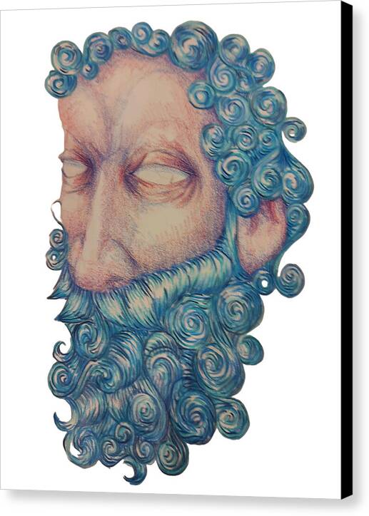 Curly Blue  - Canvas Print