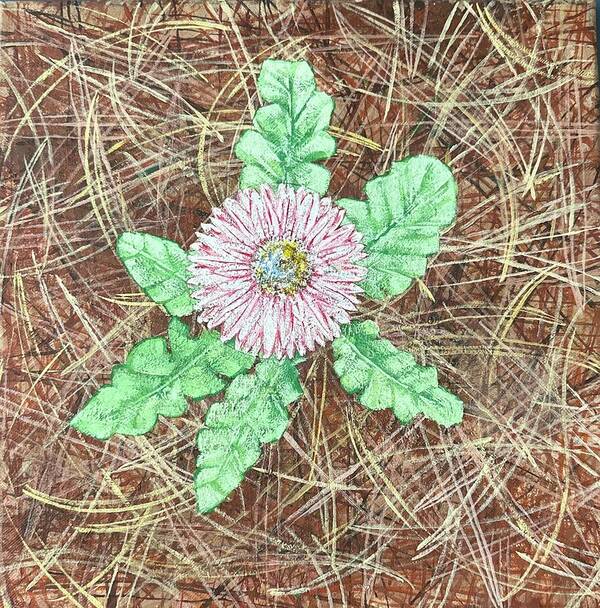 Gerbera Daisy in the Wild - Art Print