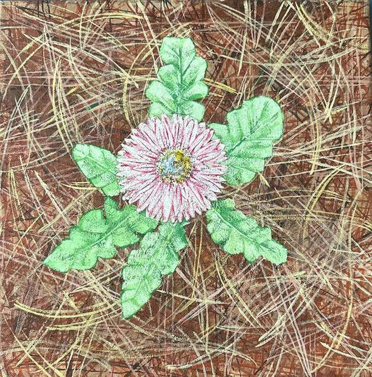 Gerbera Daisy in the Wild - Art Print