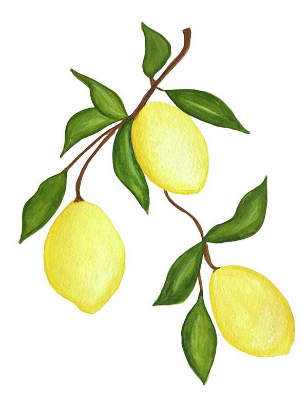 Lemony - Art Print