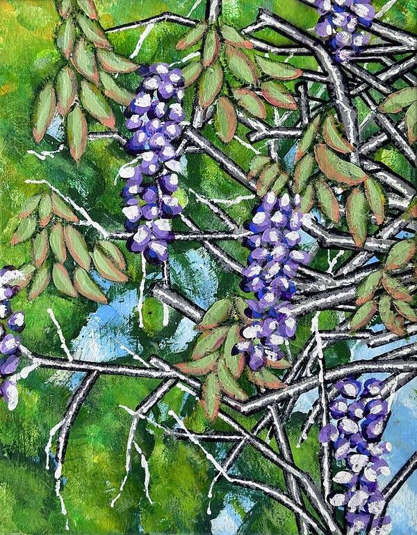 Wisteria  - Art Print